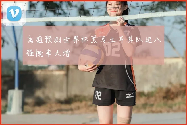 高盛预测世界杯黑马土耳其队进八强概率大增