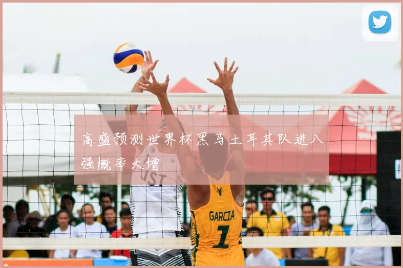 高盛预测世界杯黑马土耳其队进八强概率大增